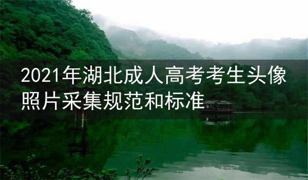2021年湖北成人高考考生头像照片采集规范和标准