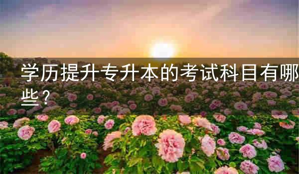 学历提升专升本的考试科目有哪些?