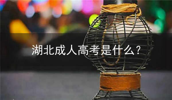 湖北成人高考是什么?