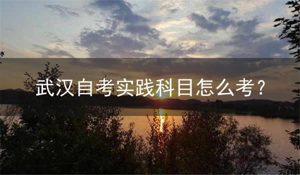 武汉自考实践科目怎么考?