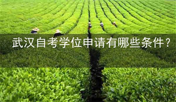 武汉自考学位申请有哪些条件?