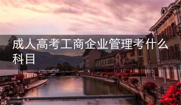 成人高考工商企业管理考什么科目