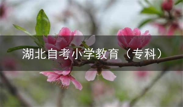 湖北自考新添小学教育(专科)专业考试计划