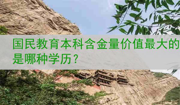 国民教育本科含金量最大的学历是什么？