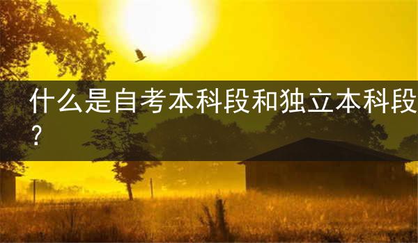 什么是自考本科段和独立本科段？