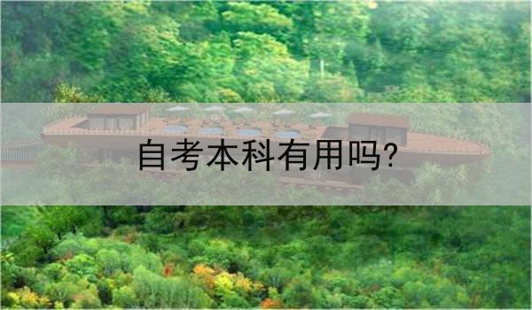 自考本科有用吗?