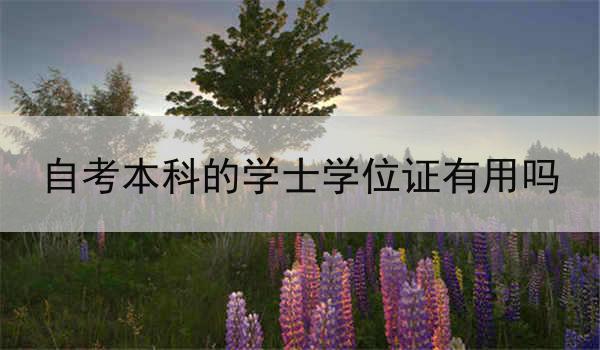 自考本科的学士学位证有用吗