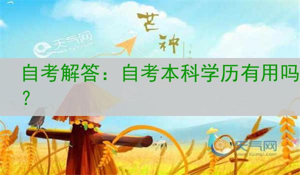 自考解答：自考本科学历有用吗？
