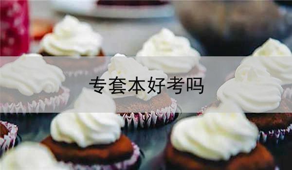 专套本好考吗