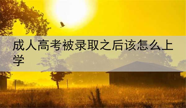成人高考被录取之后该怎么上学
