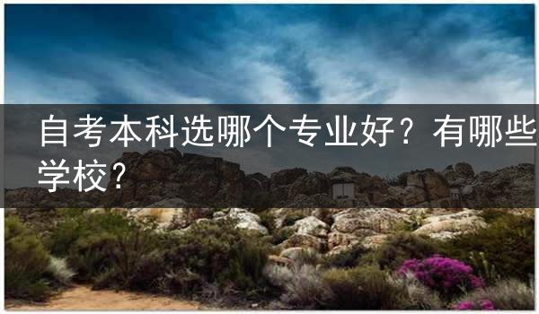 自考本科选哪个专业好？有哪些学校？