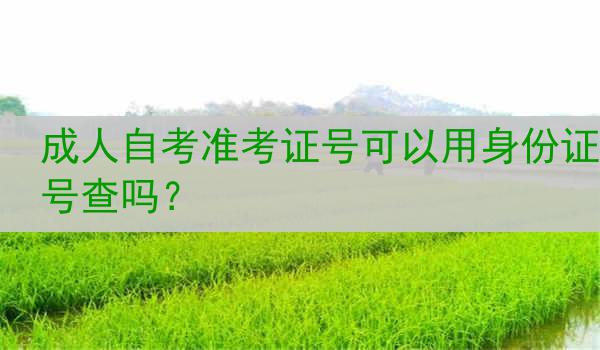 成人自考准考证号可以用身份证号查吗？