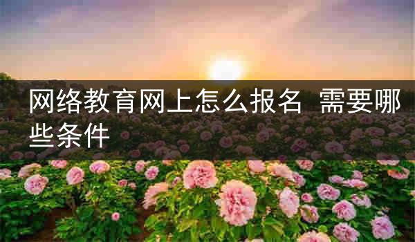 网络教育网上怎么报名 需要哪些条件
