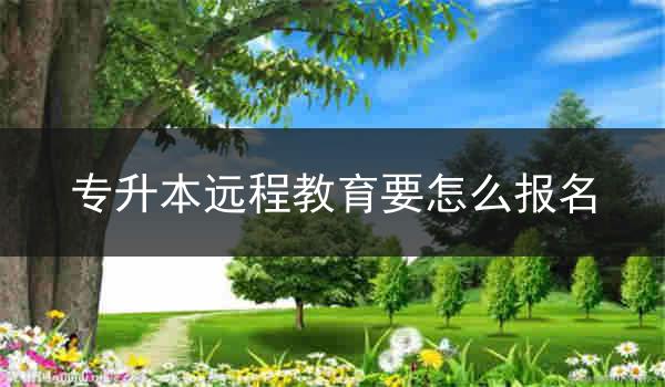 专升本远程教育要怎么报名