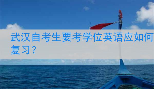 武汉自考生要考学位英语应如何复习？