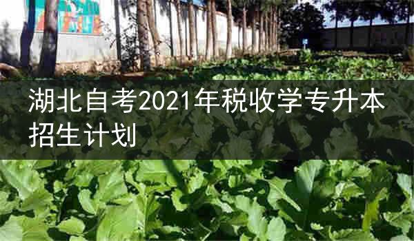 湖北自考2021年税收学专升本招生计划