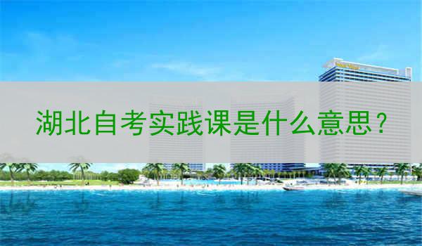 湖北自考实践课是什么意思？