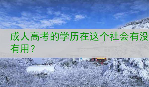成人高考的学历在这个社会有没有用？