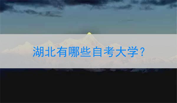 湖北有哪些自考大学？