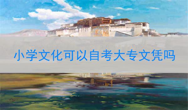 小学文化可以自考大专文凭吗