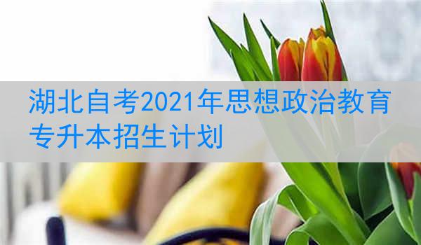 湖北自考2021年思想政治教育专升本招生计划