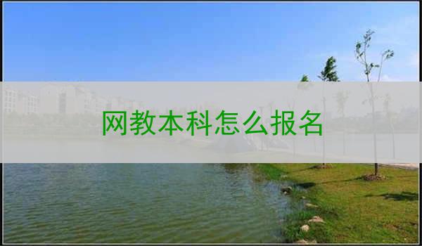 网教本科怎么报名