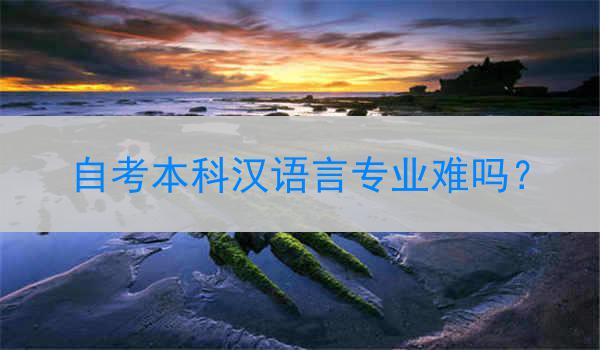 自考本科汉语言专业难吗？