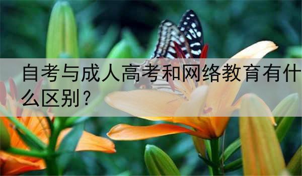 自考与成人高考和网络教育有什么区别？