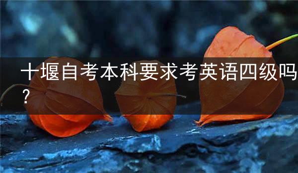 十堰自考本科要求考英语四级吗？