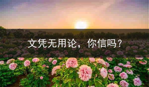 文凭无用论，你信吗？