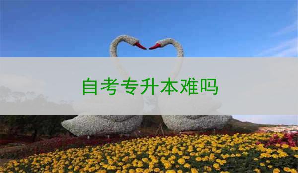 自考专升本难吗