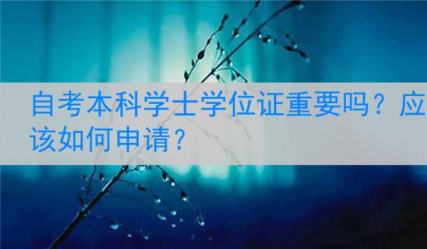 自考本科学士学位证重要吗？应该如何申请？