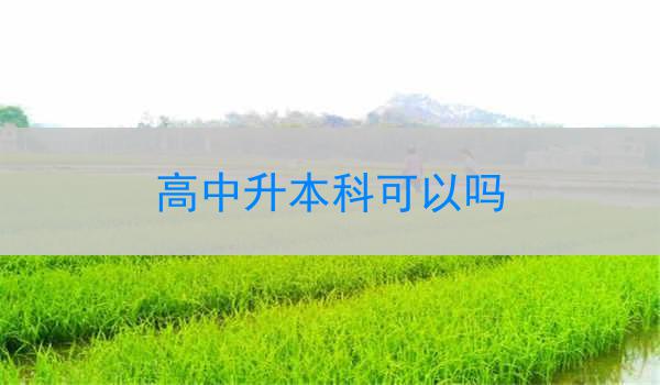 高中升本科可以吗
