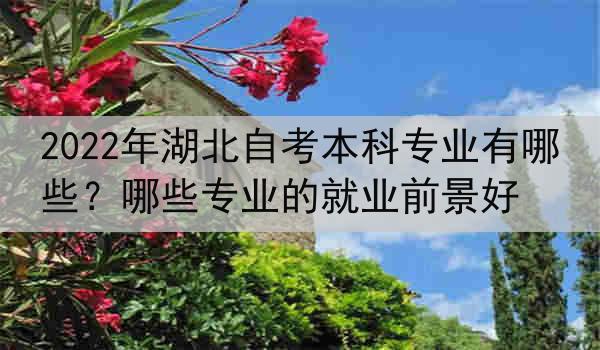 2022年湖北自考本科专业有哪些？哪些专业的就业前景好