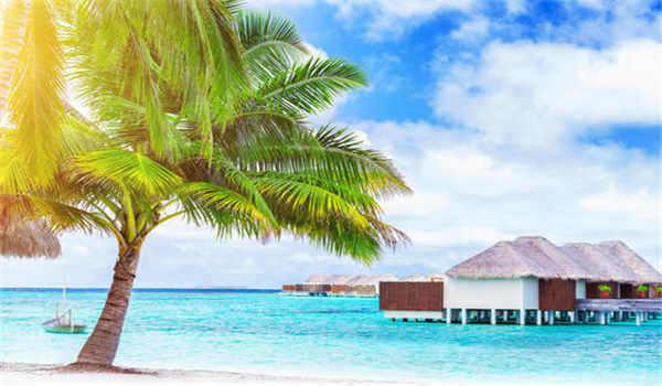 中专学历升大专怎么报名?