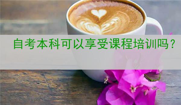 自考本科可以享受课程培训吗？