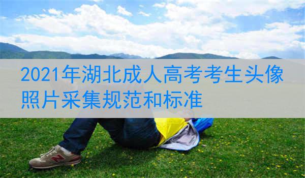 2021年湖北成人高考考生头像照片采集规范和标准