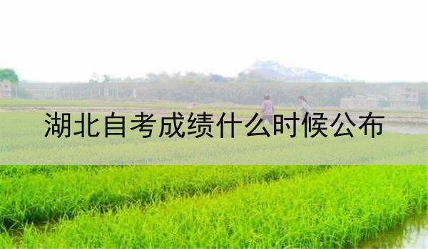湖北自考成绩什么时候公布
