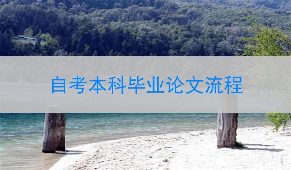 自考本科毕业论文流程