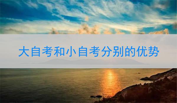 大自考和小自考分别的优势