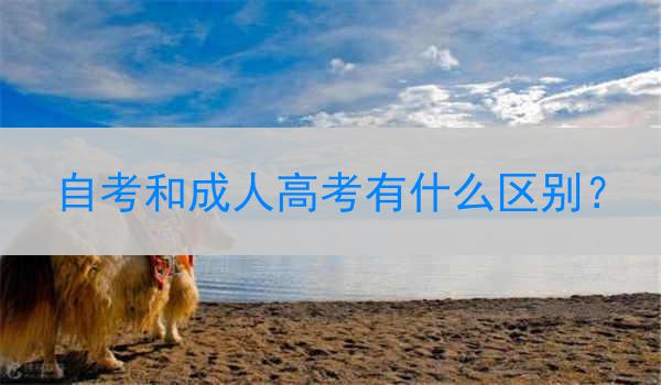 自考和成人高考有什么区别？
