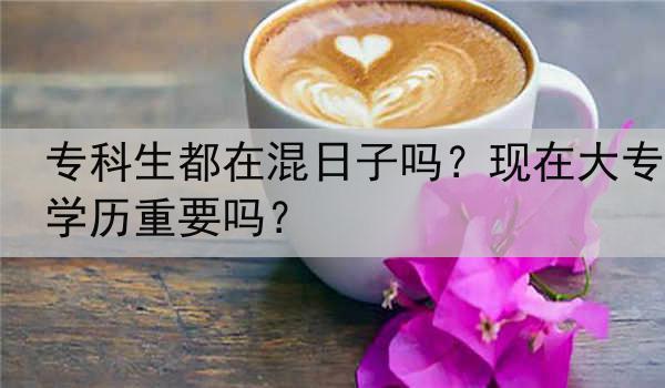 专科生都在混日子吗？现在大专学历重要吗？