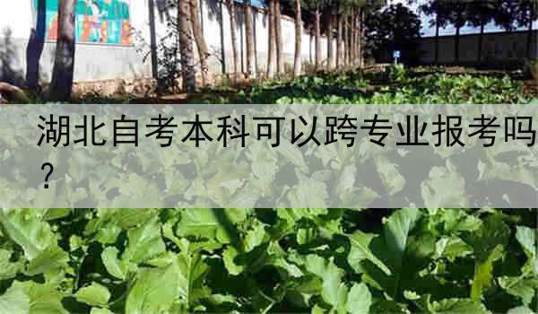 湖北自考本科可以跨专业报考吗？