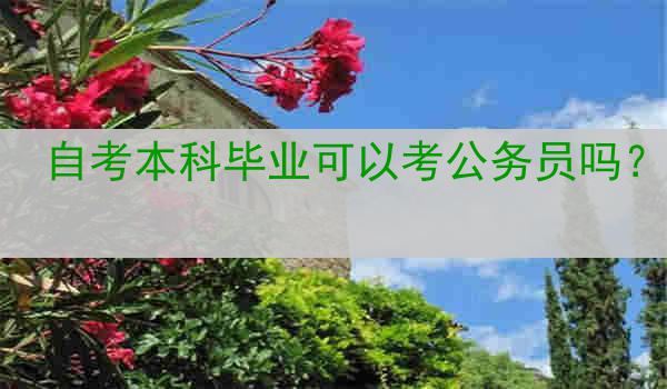 自考本科毕业可以考公务员吗？