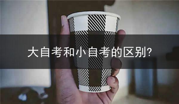 大自考和小自考的区别?