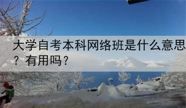 大学自考本科网络班是什么意思？有用吗？