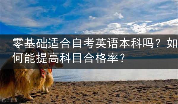 零基础适合自考英语本科吗？如何能提高科目合格率？