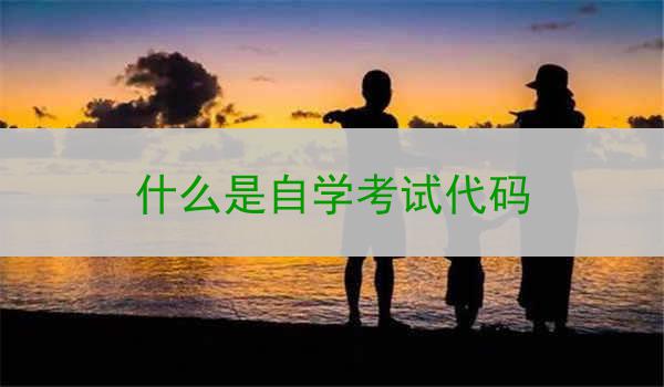 什么是自学考试代码