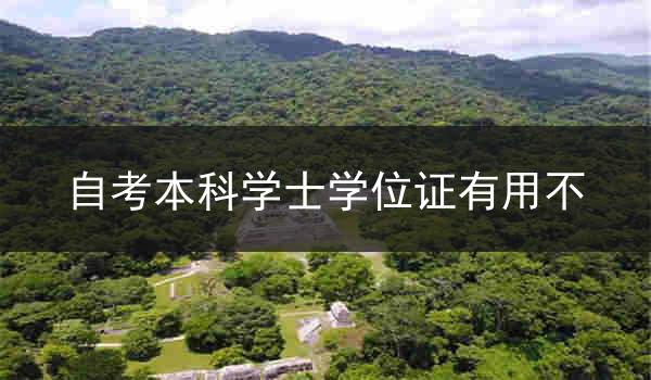 自考本科学士学位证有用不