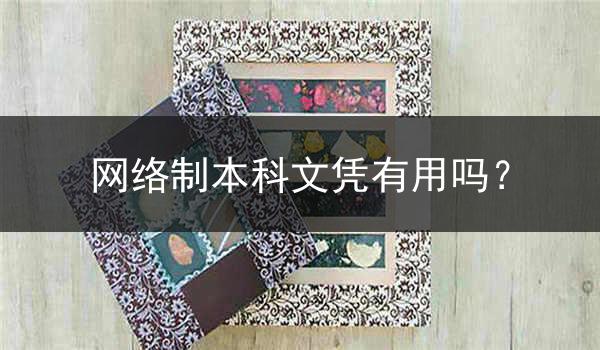 网络制本科文凭有用吗？